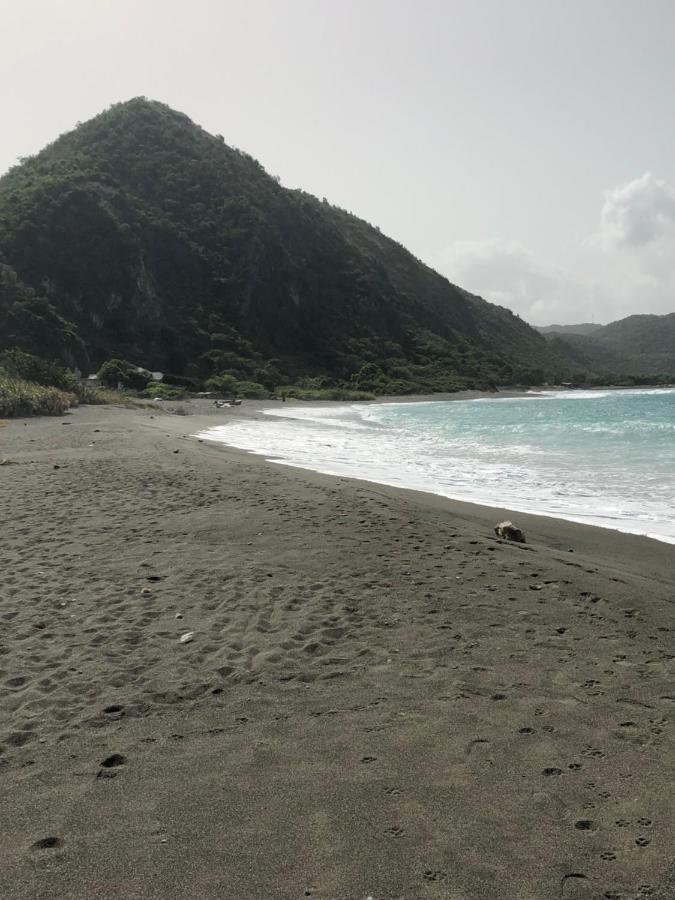 Scarlett Guest House Bull Bay Екстериор снимка