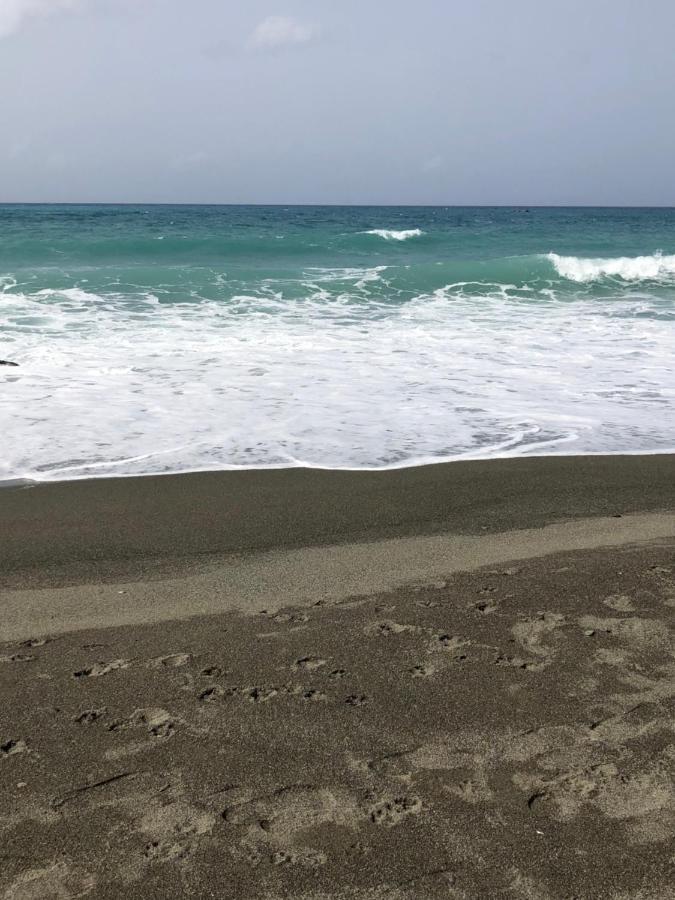 Scarlett Guest House Bull Bay Екстериор снимка